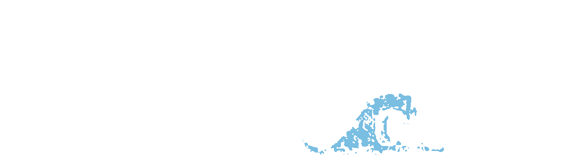 Sushi Tsunami